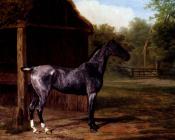 Lord Rivers' Roan mare In A Landscape - 雅克·劳伦特·阿加斯